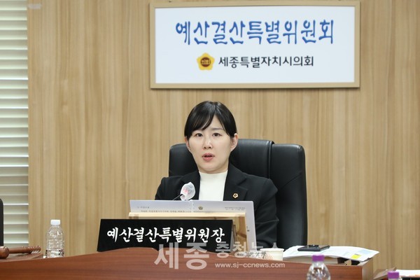 세종시의회 예산결산특별위, 2025년도 예산안 재심사 의결